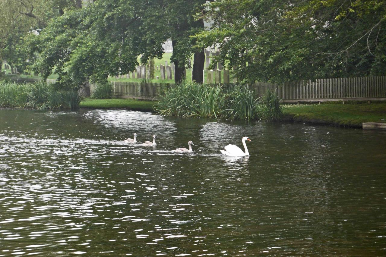 Bed & Breakfast Mill House 5*